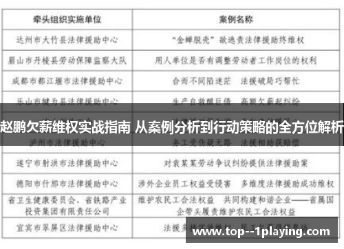 赵鹏欠薪维权实战指南 从案例分析到行动策略的全方位解析