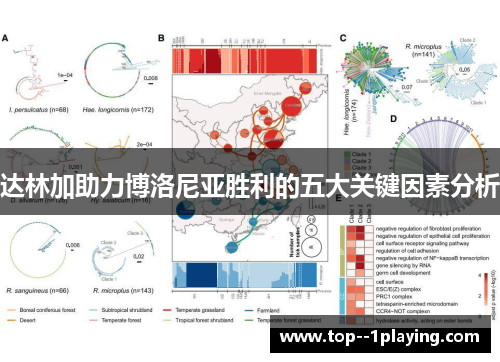 达林加助力博洛尼亚胜利的五大关键因素分析